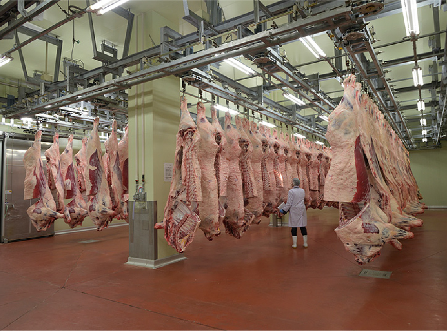 命の重みに責任を持ち食肉の供給を支えています