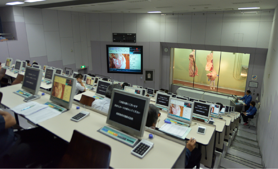 食肉市場について